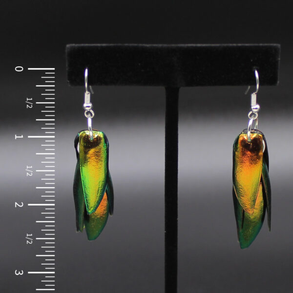 Beetle Wing Earrings Emerald Copper