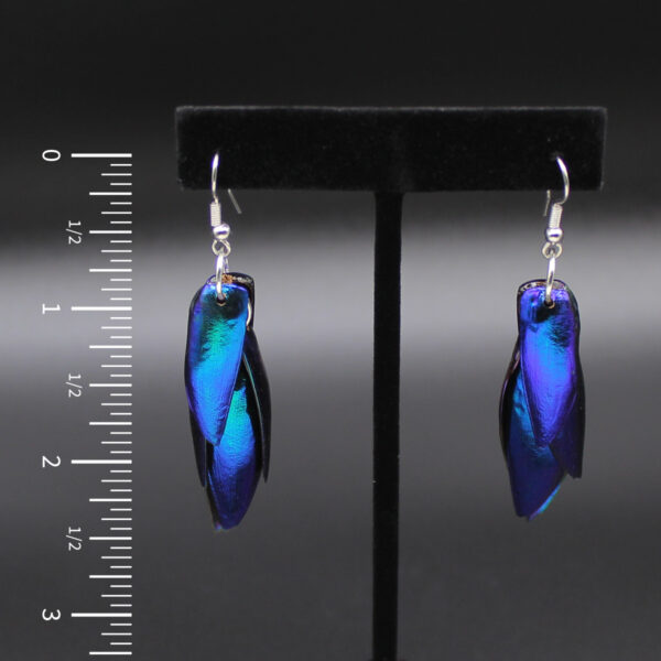 Beetle Wing Earrings Cobalt Blue