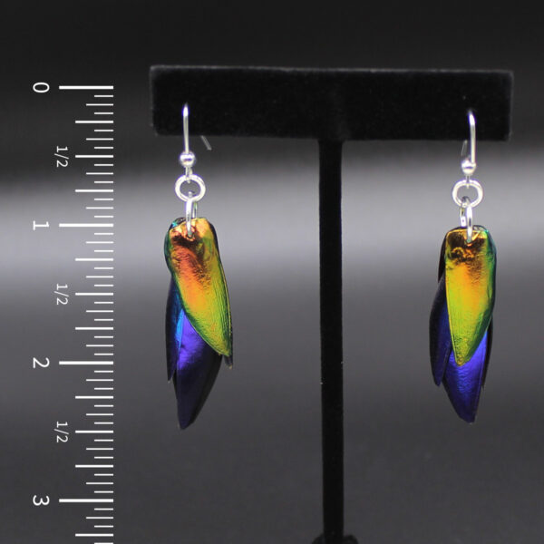 Beetle Wing Earrings Rainbow
